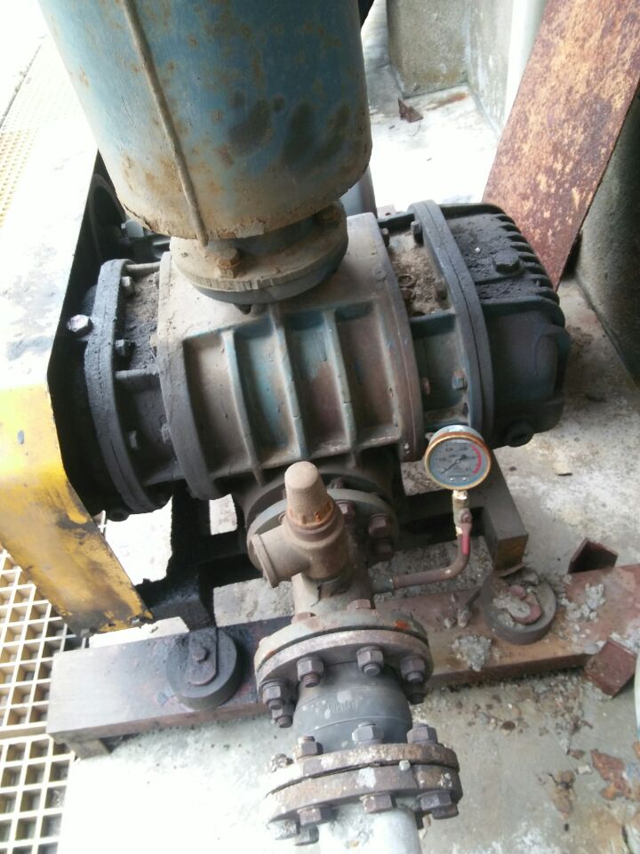 漲見(jiàn)識(shí)了，羅茨風(fēng)機(jī)維修現(xiàn)場(chǎng)報(bào)道