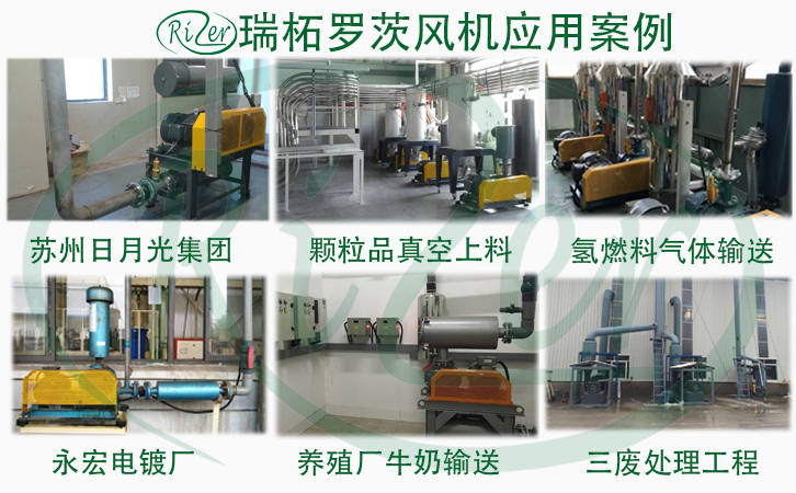 上海廠家直銷魯氏牌三葉羅茨鼓風(fēng)機