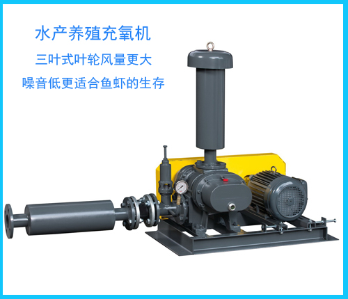 羅茨風(fēng)機(jī)充氧設(shè)備 羅茨風(fēng)機(jī)充氧設(shè)備