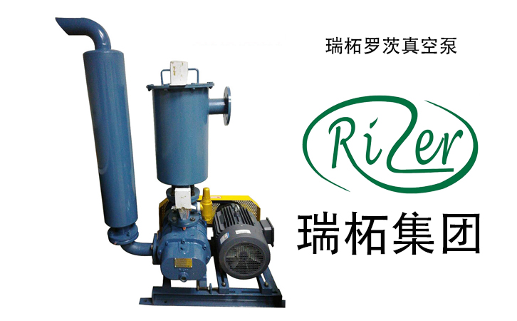 瑞柘羅茨真空泵實拍
