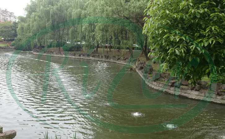 沉水式羅茨鼓風(fēng)機(jī)的缺點(diǎn)