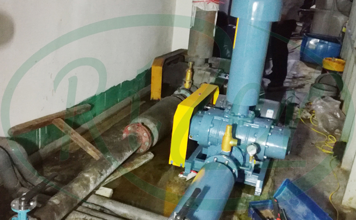 瑞柘羅茨鼓風(fēng)機(jī) 瑞柘羅茨鼓風(fēng)機(jī)