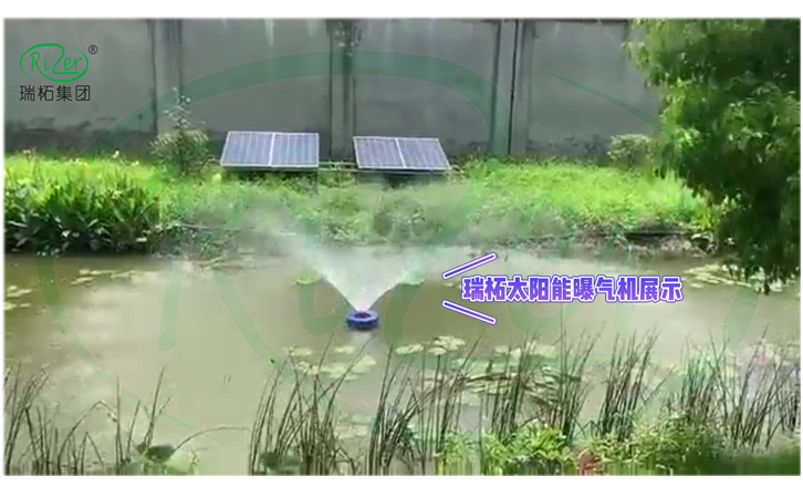 瑞柘水上光伏太陽能發(fā)電曝氣系統(tǒng) 瑞柘水上光伏太陽能發(fā)電曝氣系統(tǒng)