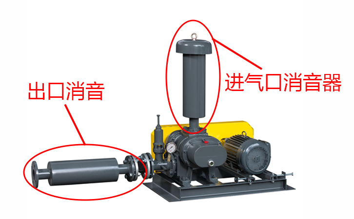 瑞柘羅茨鼓風(fēng)機(jī)消音器位置 瑞柘羅茨鼓風(fēng)機(jī)消音器位置