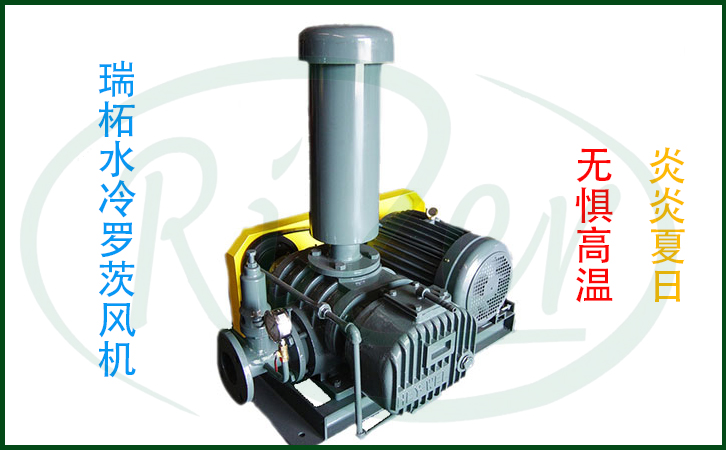 雙油箱水冷羅茨風(fēng)機(jī) 雙油箱水冷羅茨風(fēng)機(jī)