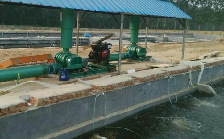 魚塘養(yǎng)殖管理要注意什么 魚塘養(yǎng)殖管理要注意什么