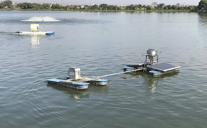 高溫不一定是造成魚蝦蟹死亡的罪魁禍?zhǔn)? alt=