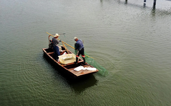 水產(chǎn)養(yǎng)殖降溫勢(shì)在必行 水產(chǎn)養(yǎng)殖降溫勢(shì)在必行
