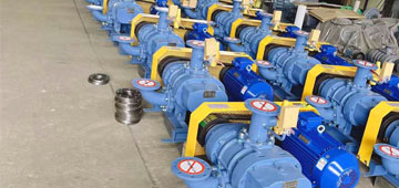 三葉羅茨風(fēng)機(jī)廠(chǎng)家