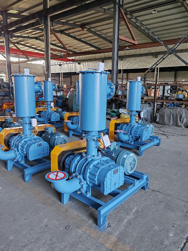 三葉羅茨鼓風(fēng)機(jī)