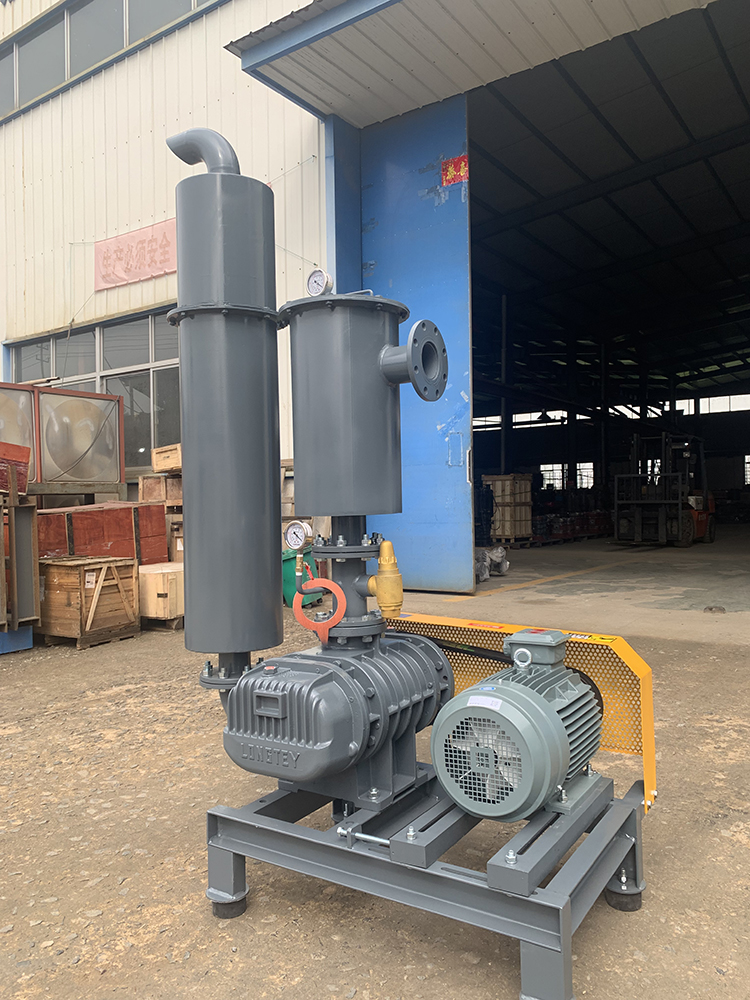 龍鐵羅茨風(fēng)機(jī)