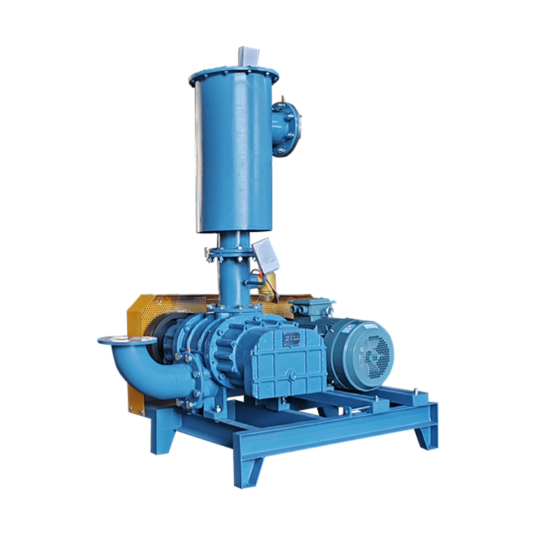 負(fù)壓羅茨風(fēng)機(jī)